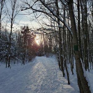 Meet your Posher, Ellen